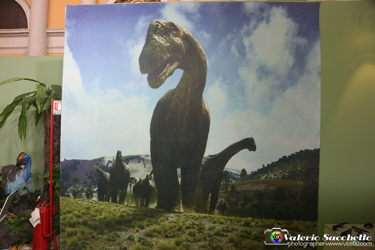 VBS_1072 - Dinosauri. Terra dei giganti.jpg